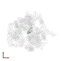 RNA_pol_L_2 domain-containing protein in PDB entry 7ycx, assembly 1, front view.