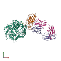 PDB entry 7ydi coloured by chain, front view.