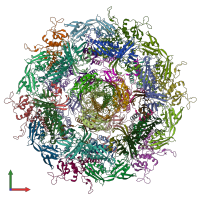 PDB entry 7yfz coloured by chain, front view.
