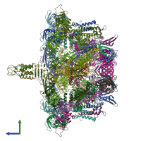 PDB entry 7yfz coloured by chain, side view.