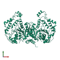 Homo dimeric assembly 1 of PDB entry 7yg1 coloured by chemically distinct molecules, front view.