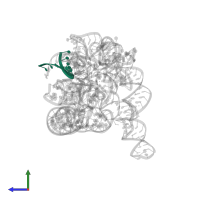 RNA (5'-R(*CP*CP*CP*UP*CP*UP*UP*AP*AP*CP*C)-3') in PDB entry 7ygb, assembly 1, side view.