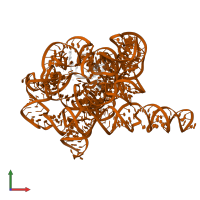 RNA (393-MER) in PDB entry 7ygb, assembly 1, front view.