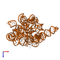 RNA (393-MER) in PDB entry 7ygb, assembly 1, top view.