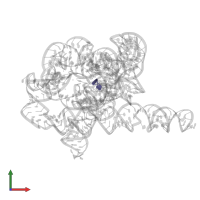 RNA (5'-R(*UP*CP*G)-3') in PDB entry 7ygb, assembly 1, front view.