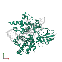 DNA glycosylase/AP lyase ROS1 in PDB entry 7yhp, assembly 1, front view.