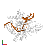 DNA (40-MER) in PDB entry 7yhp, assembly 1, front view.