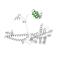 The deposited structure of PDB entry 7yi2 contains 3 copies of Pfam domain PF02671 (Paired amphipathic helix repeat) in Transcriptional regulatory protein SIN3. Showing 3 copies in chain C [auth A] (some of the copies are out of the observed residue ranges!).