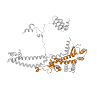 The deposited structure of PDB entry 7yi2 contains 1 copy of Pfam domain PF16879 (C-terminal domain of Sin3a protein) in Transcriptional regulatory protein SIN3. Showing 1 copy in chain C [auth A].