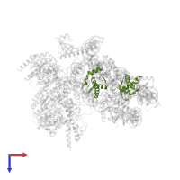 Histone H4 in PDB entry 7yi4, assembly 1, top view.