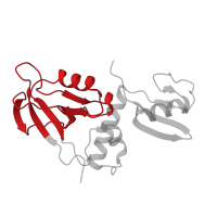 The deposited structure of PDB entry 7ykf contains 2 copies of Pfam domain PF00595 (PDZ domain) in Membrane-associated guanylate kinase, WW and PDZ domain-containing protein 2. Showing 1 copy in chain A.