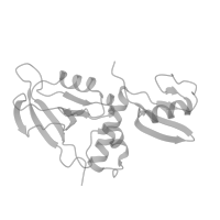 The deposited structure of PDB entry 7ykf contains 2 copies of Pfam domain PF16663 (Unstructured region on MAGI ) in Membrane-associated guanylate kinase, WW and PDZ domain-containing protein 2. Showing 1 copy in chain A (this domain is out of the observed residue ranges!).