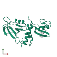 Membrane-associated guanylate kinase, WW and PDZ domain-containing protein 2 in PDB entry 7ykf, assembly 1, front view.