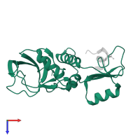 Membrane-associated guanylate kinase, WW and PDZ domain-containing protein 2 in PDB entry 7ykf, assembly 1, top view.