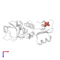 Modified residue SEP in PDB entry 7ykf, assembly 1, top view.