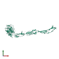 Gram-positive cocci surface proteins LPxTG domain-containing protein in PDB entry 7yl5, assembly 1, front view.