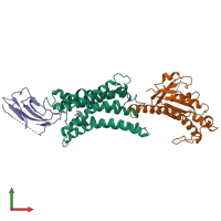 PDB entry 7ymh coloured by chain, front view.