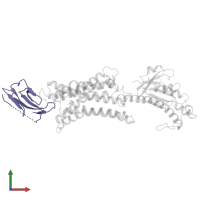 Nb29 in PDB entry 7ymh, assembly 1, front view.