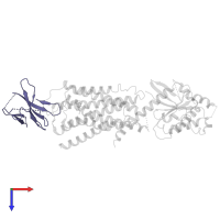 Nb29 in PDB entry 7ymh, assembly 1, top view.