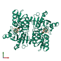 Hetero tetrameric assembly 1 of PDB entry 7yom coloured by chemically distinct molecules, front view.