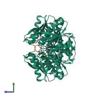 Hetero tetrameric assembly 1 of PDB entry 7yom coloured by chemically distinct molecules, side view.