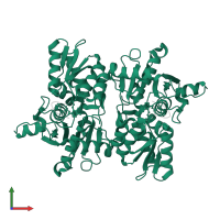 Cysteine synthase in PDB entry 7yom, assembly 1, front view.