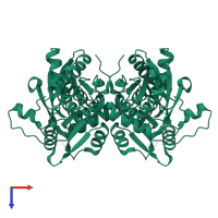 Cysteine synthase in PDB entry 7yom, assembly 1, top view.