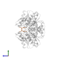 peptide from serine acetyltransferase in PDB entry 7yom, assembly 1, side view.