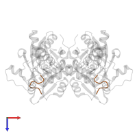 peptide from serine acetyltransferase in PDB entry 7yom, assembly 1, top view.