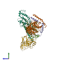 Hetero hexameric assembly 1 of PDB entry 7yoo coloured by chemically distinct molecules, side view.