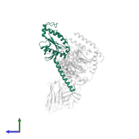 Guanine nucleotide-binding protein G(i) subunit alpha-1 in PDB entry 7yoo, assembly 1, side view.