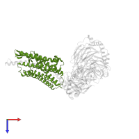 Neuropeptide Y receptor type 2 in PDB entry 7yoo, assembly 1, top view.