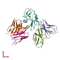 PDB entry 7yoy coloured by chain, front view.