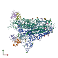 PDB entry 7yqx coloured by chain, front view.