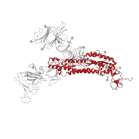 The deposited structure of PDB entry 7yqz contains 3 copies of Pfam domain PF01601 ( Coronavirus spike glycoprotein S2) in Spike glycoprotein. Showing 1 copy in chain B [auth A].