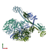 PDB entry 7yup coloured by chain, front view.