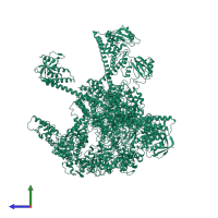 Lon protease in PDB entry 7yup, assembly 1, side view.