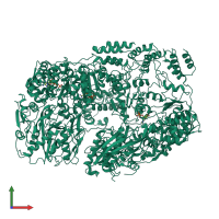 Homo tetrameric assembly 1 of PDB entry 7yuv coloured by chemically distinct molecules, front view.