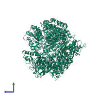 Homo tetrameric assembly 1 of PDB entry 7yuv coloured by chemically distinct molecules, side view.