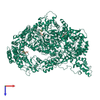 Homo tetrameric assembly 1 of PDB entry 7yuv coloured by chemically distinct molecules, top view.