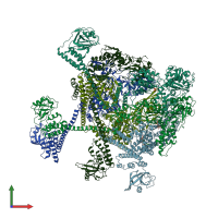 PDB entry 7yux coloured by chain, front view.