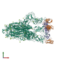 Hetero nonameric assembly 1 of PDB entry 7yvg coloured by chemically distinct molecules, front view.