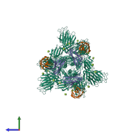 Hetero nonameric assembly 1 of PDB entry 7yvg coloured by chemically distinct molecules, side view.