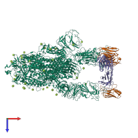 Hetero nonameric assembly 1 of PDB entry 7yvg coloured by chemically distinct molecules, top view.