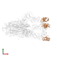 TH132 Fab light chain in PDB entry 7yvg, assembly 1, front view.