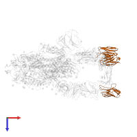 TH132 Fab light chain in PDB entry 7yvg, assembly 1, top view.