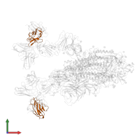 TH272 Fab light chain in PDB entry 7yvp, assembly 1, front view.