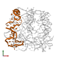 DNA (50-MER) in PDB entry 7ywi, assembly 1, front view.