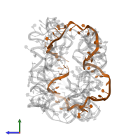 DNA (50-MER) in PDB entry 7ywi, assembly 1, side view.