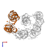 DNA (50-MER) in PDB entry 7ywi, assembly 1, top view.